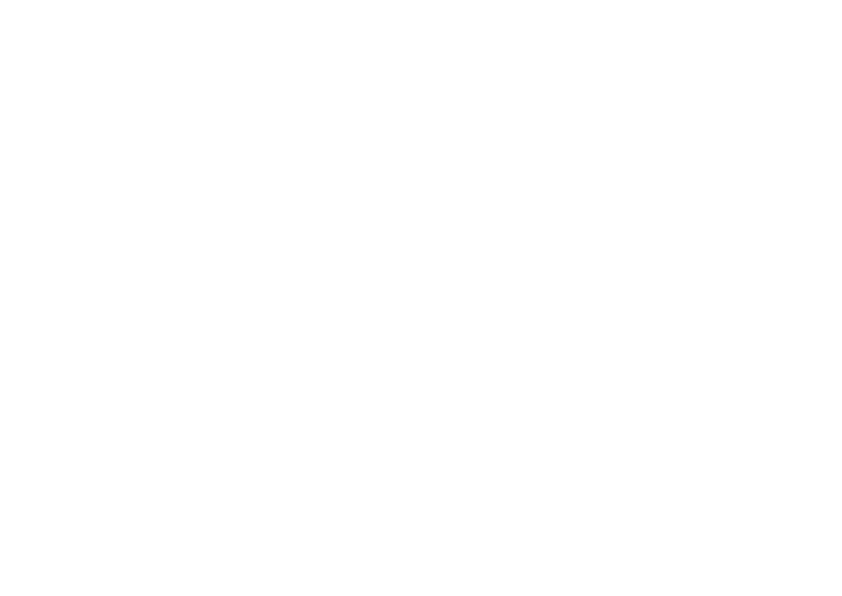 Satori